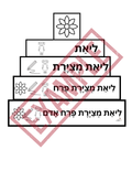 67b86a8d342ac57cc6dbae29_6_1752936862719.png