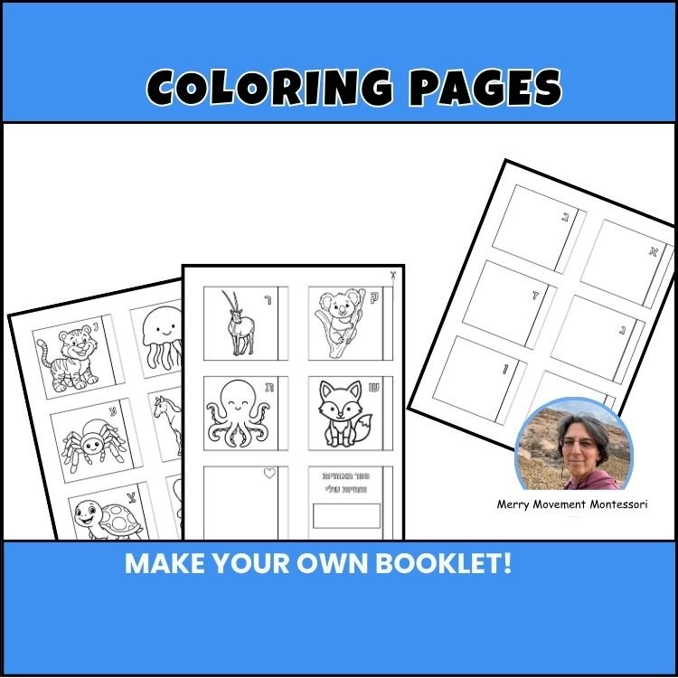 67b86a8d342ac57cc6dbae29_etsy-size-thumbnails_1786335062561.jpg