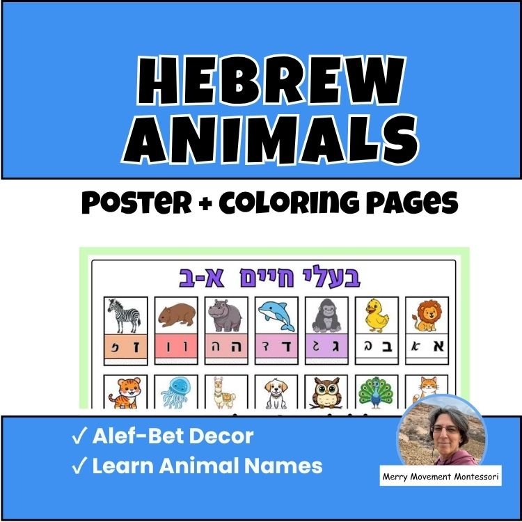 67b86a8d342ac57cc6dbae29_etsy-size-thumbnails_1786335062561.jpg