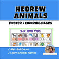 67b86a8d342ac57cc6dbae29_etsy-size-thumbnails_1786335062561.jpg