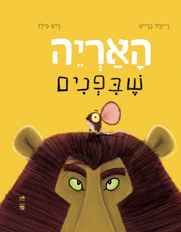 האריה שבפנים קרטון